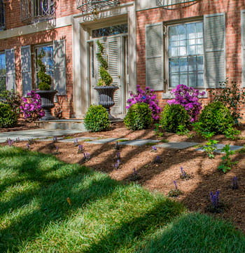 about us- Mario Landscape