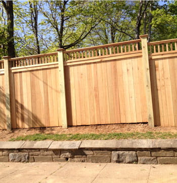 about-Mario Landscape